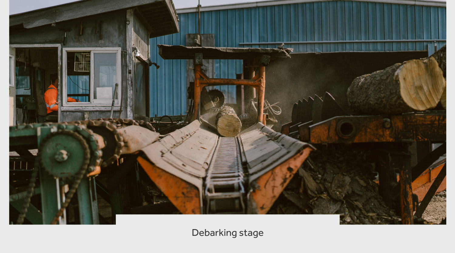 timberthane process debarking