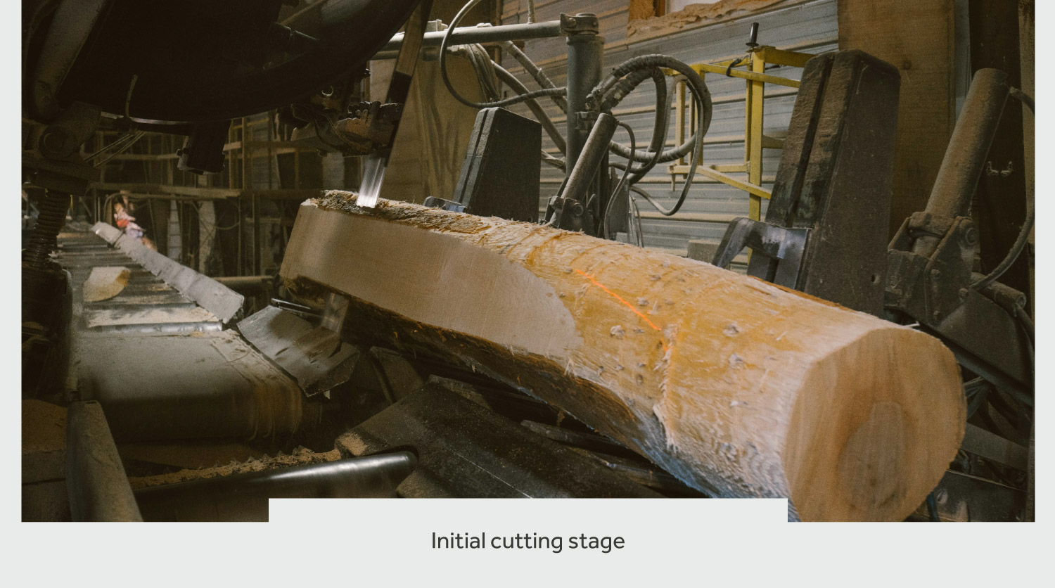 timberthane process cutting
