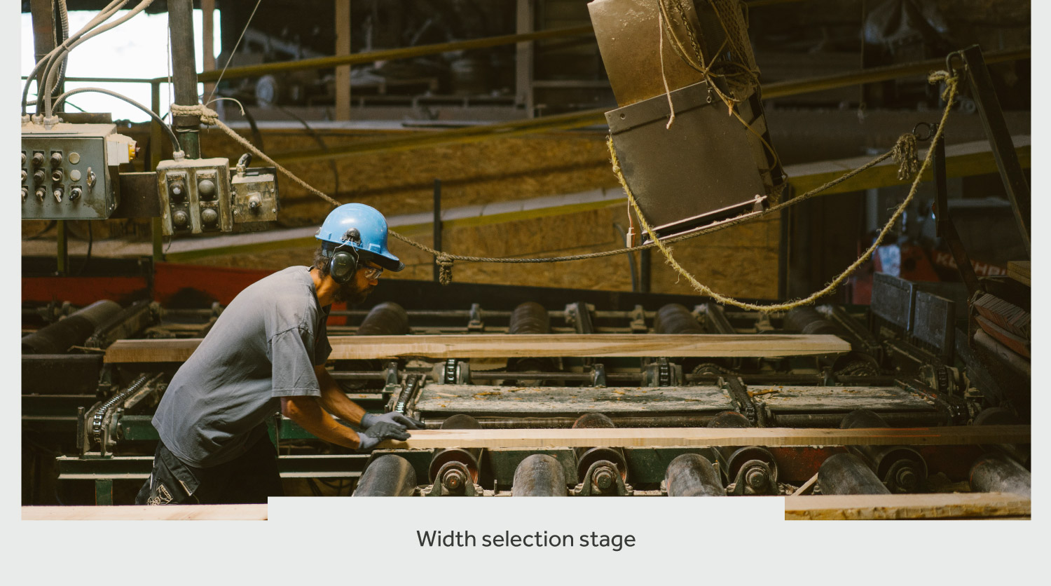 timberthane process width selection